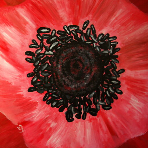 close up of a red poppy painting